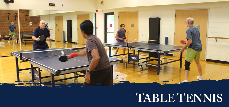 table tennis ping pong at uva north grounds and slaughter